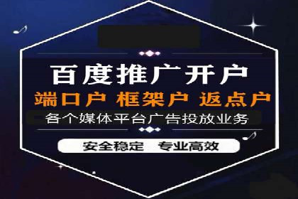 某电商平台信息流广告的精准推广策略